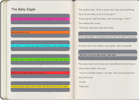Guided Highlighted Overlay Reading Strips 18 Pack