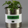 HerbSafe Container Keeps Herbs Fresh & Potent