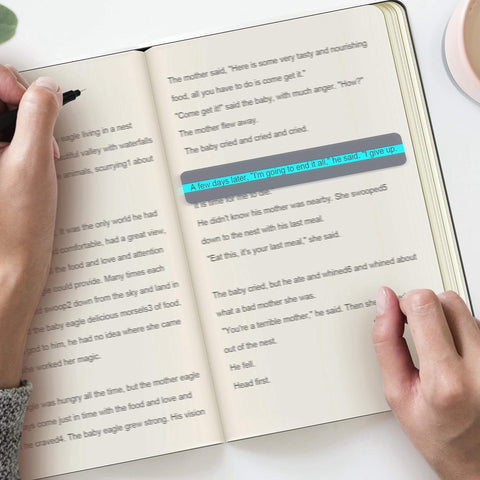 Guided Highlighted Overlay Reading Strips 18 Pack