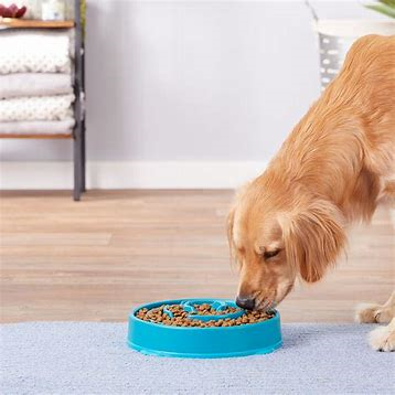 Healthy Slow Feeder Pet Bowl- 3 Colors