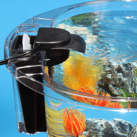 4.5-Gallon Aquarium Starter Kit with Full Filtration and LED Lighting