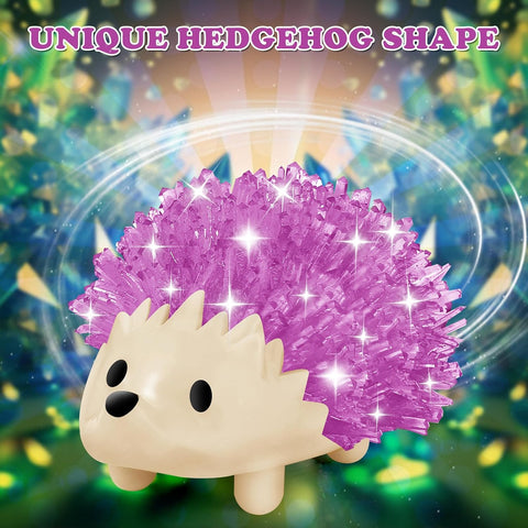 Crystal Growing Kit for Kids - 4 Colors Hedgehog STEM Science Kit 24 Hour Growing Kit