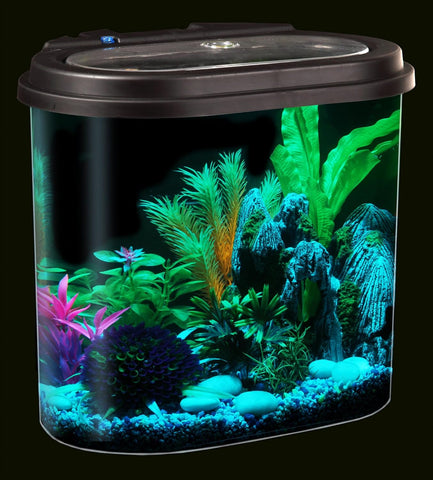 4.5-Gallon Aquarium Starter Kit with Full Filtration and LED Lighting