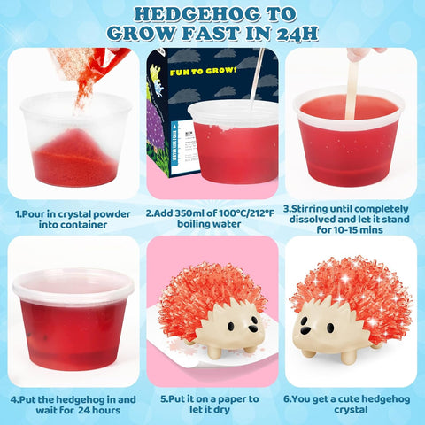 Crystal Growing Kit for Kids - 4 Colors Hedgehog STEM Science Kit 24 Hour Growing Kit