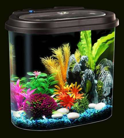 4.5-Gallon Aquarium Starter Kit with Full Filtration and LED Lighting