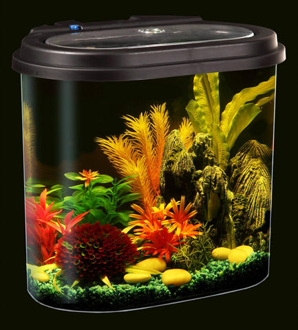 4.5-Gallon Aquarium Starter Kit with Full Filtration and LED Lighting