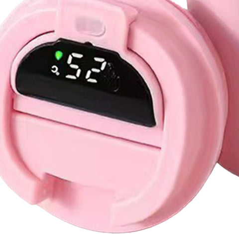 Double Wall Stainless Steel Vacuum Mug with LED Temperature Display
