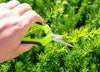 6.5 Inch Stainless Steel Gardening Hand Pruner Shears- Random Color