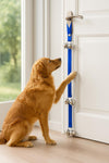 Before & After Training Bells – Pet Dog Training Bells- Stop Scratching, Start Ringing!