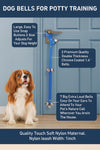 Before & After Training Bells – Pet Dog Training Bells- Stop Scratching, Start Ringing!