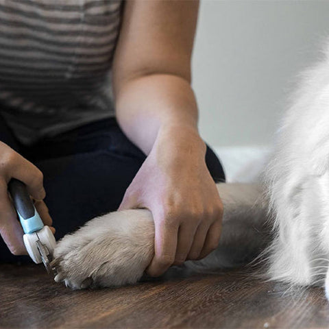 Dog Nail Clippers - 3 Colors