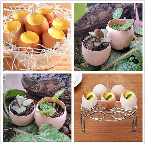 Stainless Steel EggShell Cutter Opener