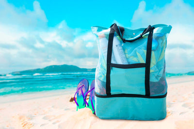 Insulated Cooler Picnic Beach Tote Bag